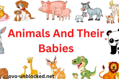 Baby_Muehgndvyg= Animals