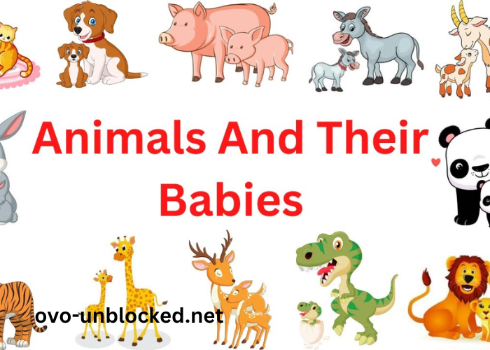 Baby_Muehgndvyg= Animals